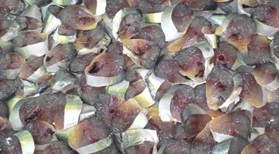 Salt Fermented Indian Mackerel